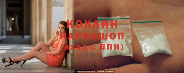 стаф Новозыбков