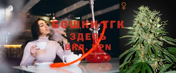 стаф Новозыбков