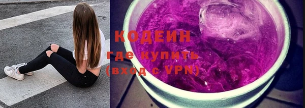 стаф Новозыбков